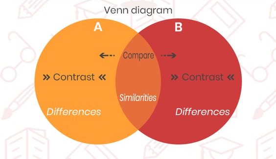 compare and contrast nursing essay