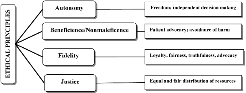 psychiatric nursing essay
