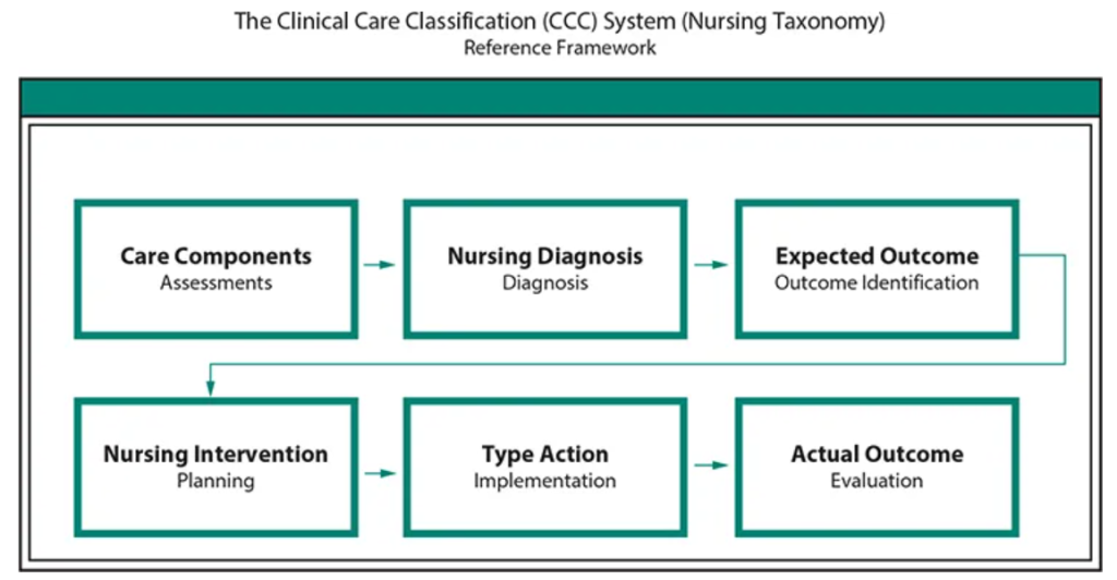 nursing care plan assignment