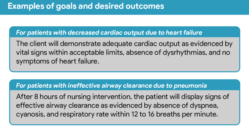 nursing care plan paper