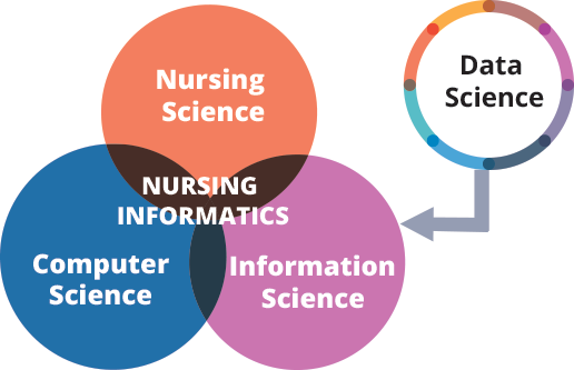 nursing informatics paper