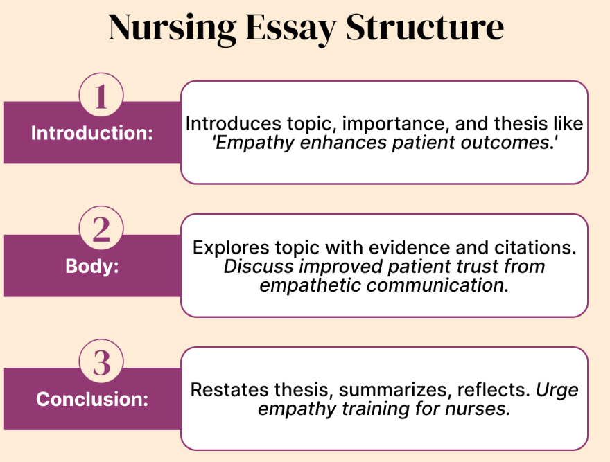 nursing essay paper